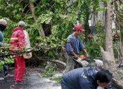 Waspada Cuaca Ekstrem, Warga Diimbau Selalu Siaga Potensi Bencana