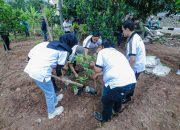 Sinergi Pemkot Bandung dan Perguruan Tinggi Hijaukan Kawasan Bandung Utara