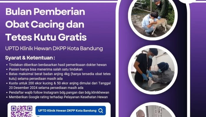 Jangan Lewatkan! UPTD Klinik Hewan Beri Obat dan Tetes Kutu Gratis Untuk Hewan Peliharaan