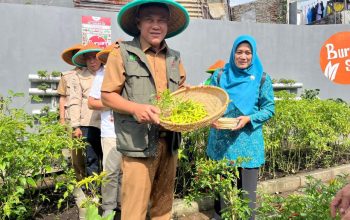 DKPP Maksimalkan Potensi Lahan dan Buruan Sae