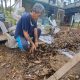 KSM Tamansari Tuntas Mampu Olah 800 Kg per Hari Sampah dengan Maggot