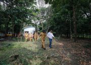 Kerusakan di Taman Tegalega, Pemkot Minta Tanggung Jawab Pengembang Aplikasi Jagat
