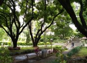 Pengelolaan Zona Taman di Kota Bandung Demi Ruang Hijau yang Tertata dan Nyaman