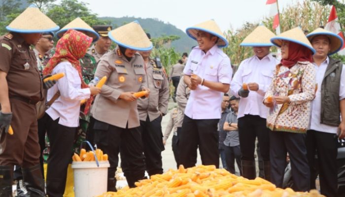 Polresta Cirebon Ikuti Zoom Meeting Panen Raya Jagung Serentak Tahap I