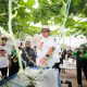 Wali Kota Bandung Berencana Kembangkan Kampung Wisata Melon Premium