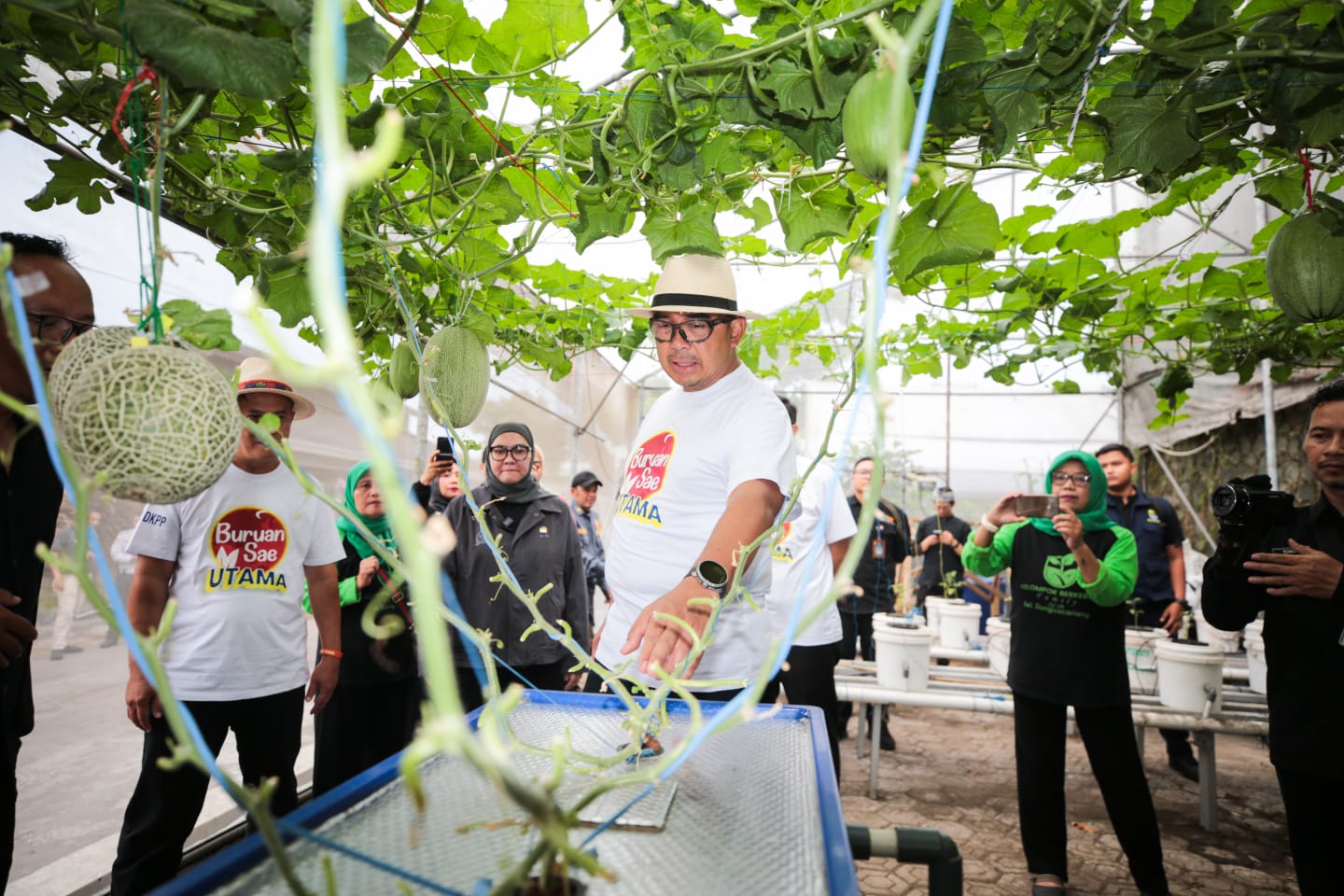 Wali Kota Bandung Berencana Kembangkan Kampung Wisata Melon Premium
