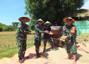 Wujudkan Ketahanan Pangan, Dandim 0614/Kota Cirebon Pimpin Panen Perdana di Lahan Poktan Sidemung