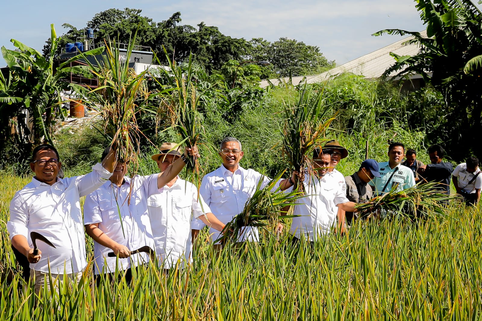 Kota Bandung Catat Panen Perdana 2025, Produktivitas Tinggi Capai 8 Ton per Hektar