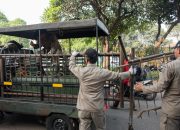 Pemkot Berkomitmen Jaga Estetika Kota Bandung