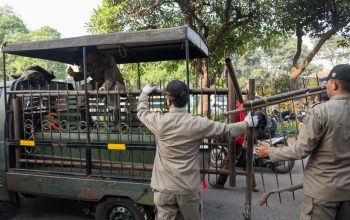 Pemkot Berkomitmen Jaga Estetika Kota Bandung