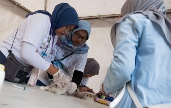 DKPP Siap Kendalikan Populasi Kucing Liar dan Perketat Pemeriksaan Hewan Kurban