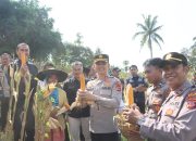 Panen Raya Jagung Kuartal II: Polres Garut Hasilkan 75 Ton dari Lahan 15 Hektar