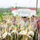 Panen Raya Jagung Kuartal II, Polres Banjar Hasilkan 6 Ton