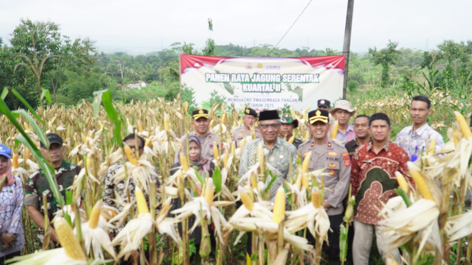 Panen Raya Jagung Kuartal II, Polres Banjar Hasilkan 6 Ton