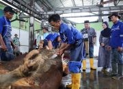 Pemotongan Kurban Lancar dan Sehat, Kesadaran Masyarakat Meningkat