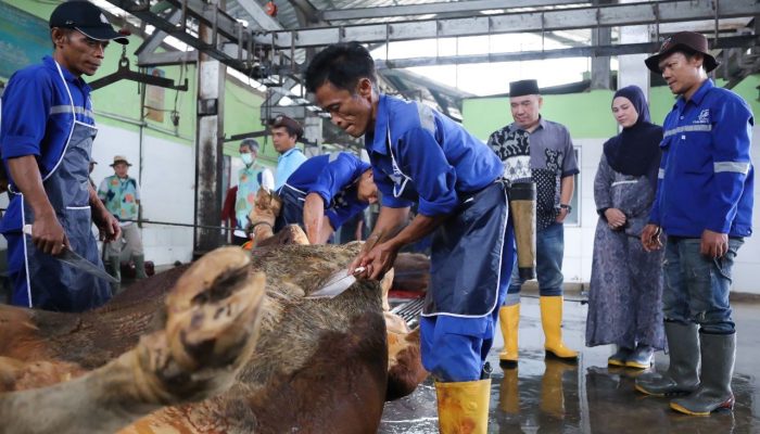 Pemotongan Kurban Lancar dan Sehat, Kesadaran Masyarakat Meningkat