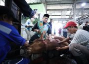 Erwin Sembelih Sapi Kurban dari Presiden RI dan Wali Kota Bandung
