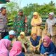 Polsek Banyuresmi Dukung Ketahanan Pangan, Monitoring Langsung Lahan Jagung di Desa Sukaratu